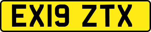 EX19ZTX