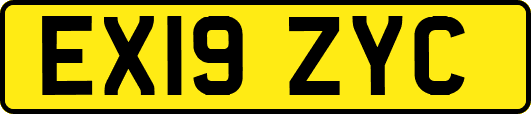 EX19ZYC