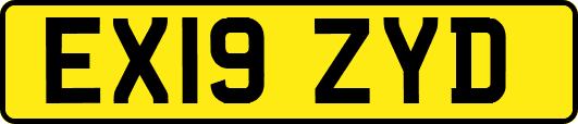 EX19ZYD