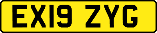 EX19ZYG