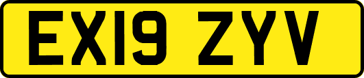 EX19ZYV