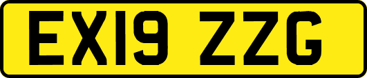 EX19ZZG