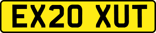 EX20XUT
