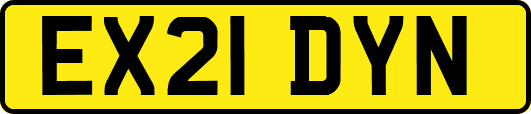 EX21DYN