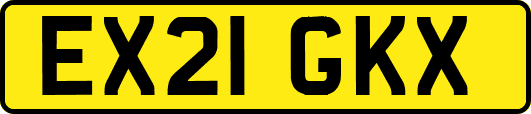 EX21GKX