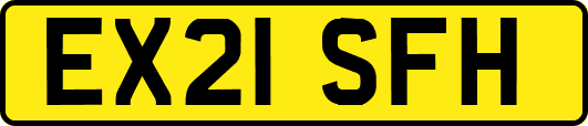 EX21SFH