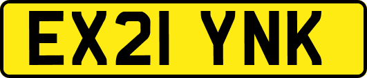 EX21YNK