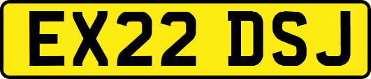 EX22DSJ