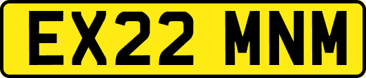 EX22MNM