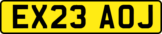 EX23AOJ
