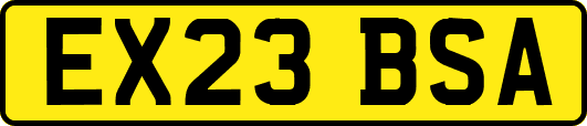 EX23BSA