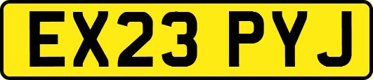 EX23PYJ