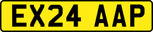 EX24AAP