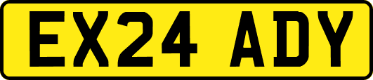 EX24ADY