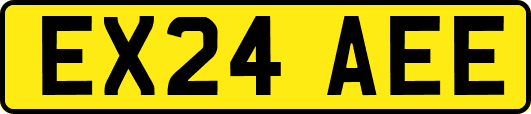 EX24AEE