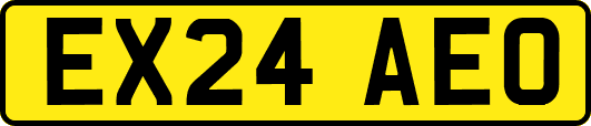 EX24AEO