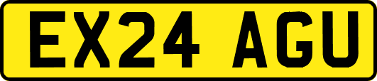 EX24AGU
