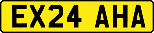EX24AHA