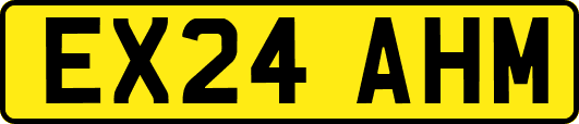 EX24AHM