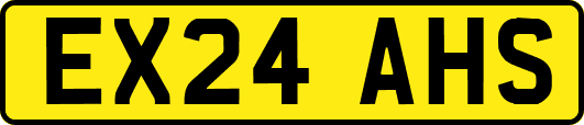 EX24AHS