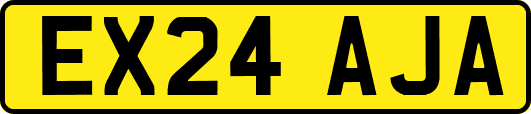 EX24AJA