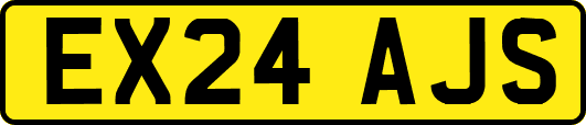 EX24AJS