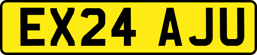 EX24AJU