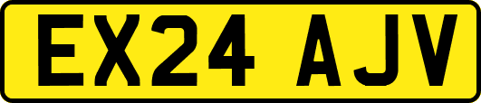 EX24AJV