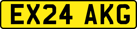 EX24AKG