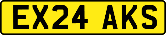 EX24AKS