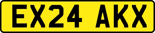 EX24AKX
