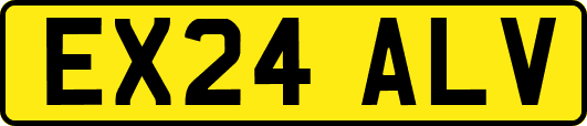 EX24ALV