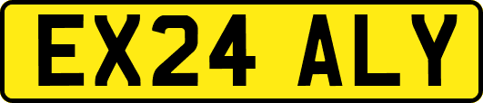 EX24ALY