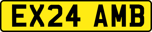 EX24AMB
