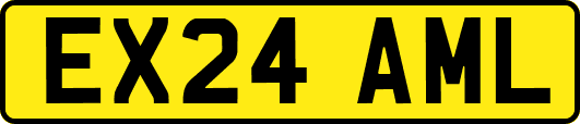 EX24AML