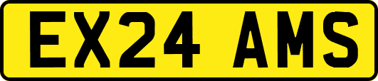 EX24AMS
