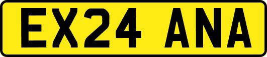 EX24ANA
