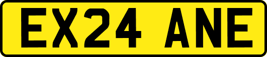 EX24ANE