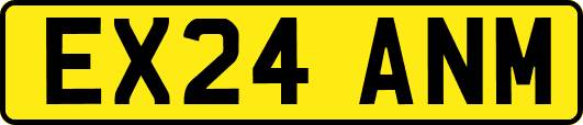 EX24ANM