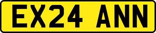 EX24ANN