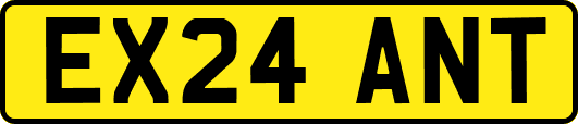 EX24ANT