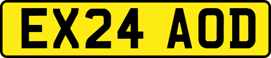 EX24AOD