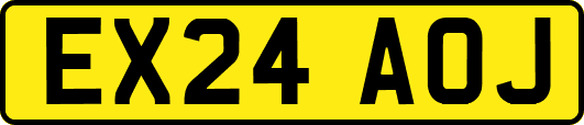EX24AOJ