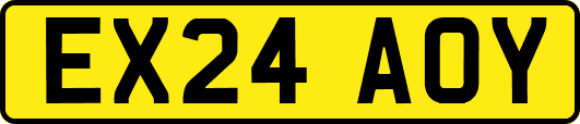 EX24AOY