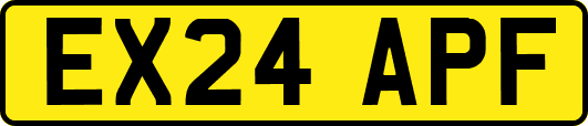 EX24APF