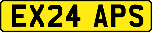EX24APS