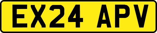 EX24APV