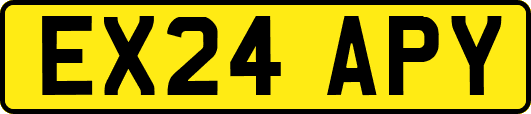 EX24APY