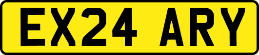 EX24ARY