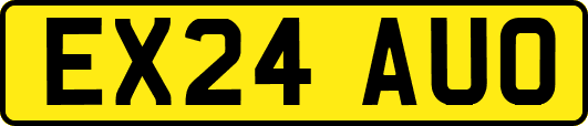 EX24AUO
